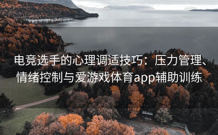 电竞选手的心理调适技巧：压力管理、情绪控制与爱游戏体育app辅助训练
